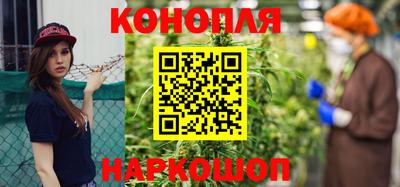 сатива Аргун