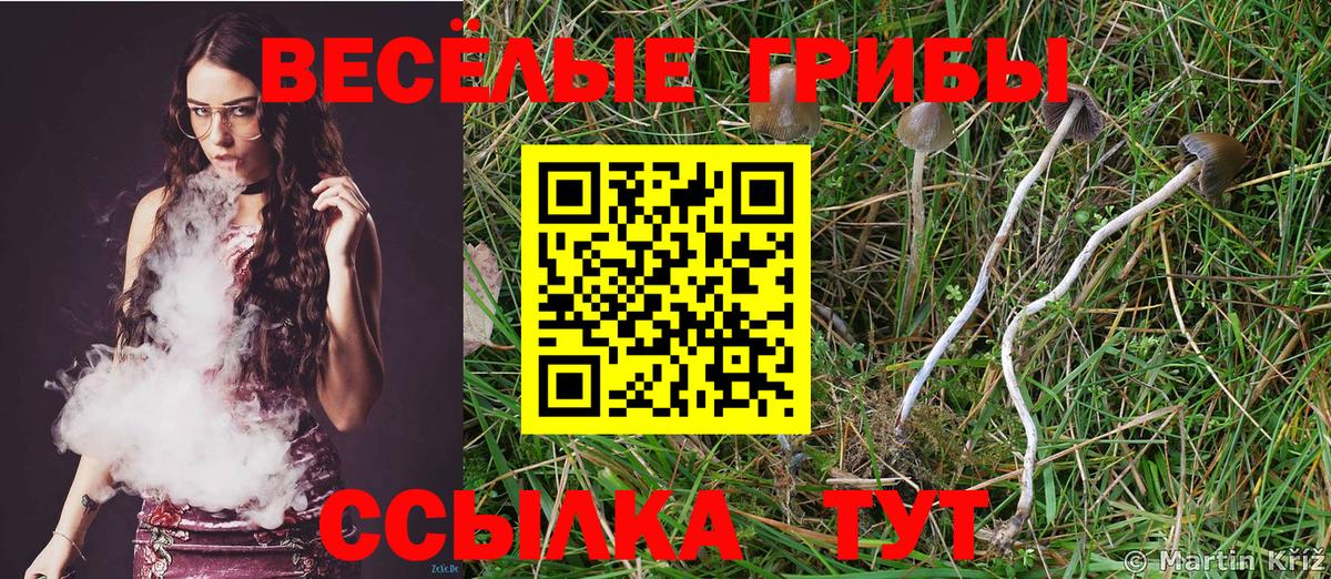 Псилоцибиновые грибы Psilocybe  Вход с VPN  Верхняя Салда 
